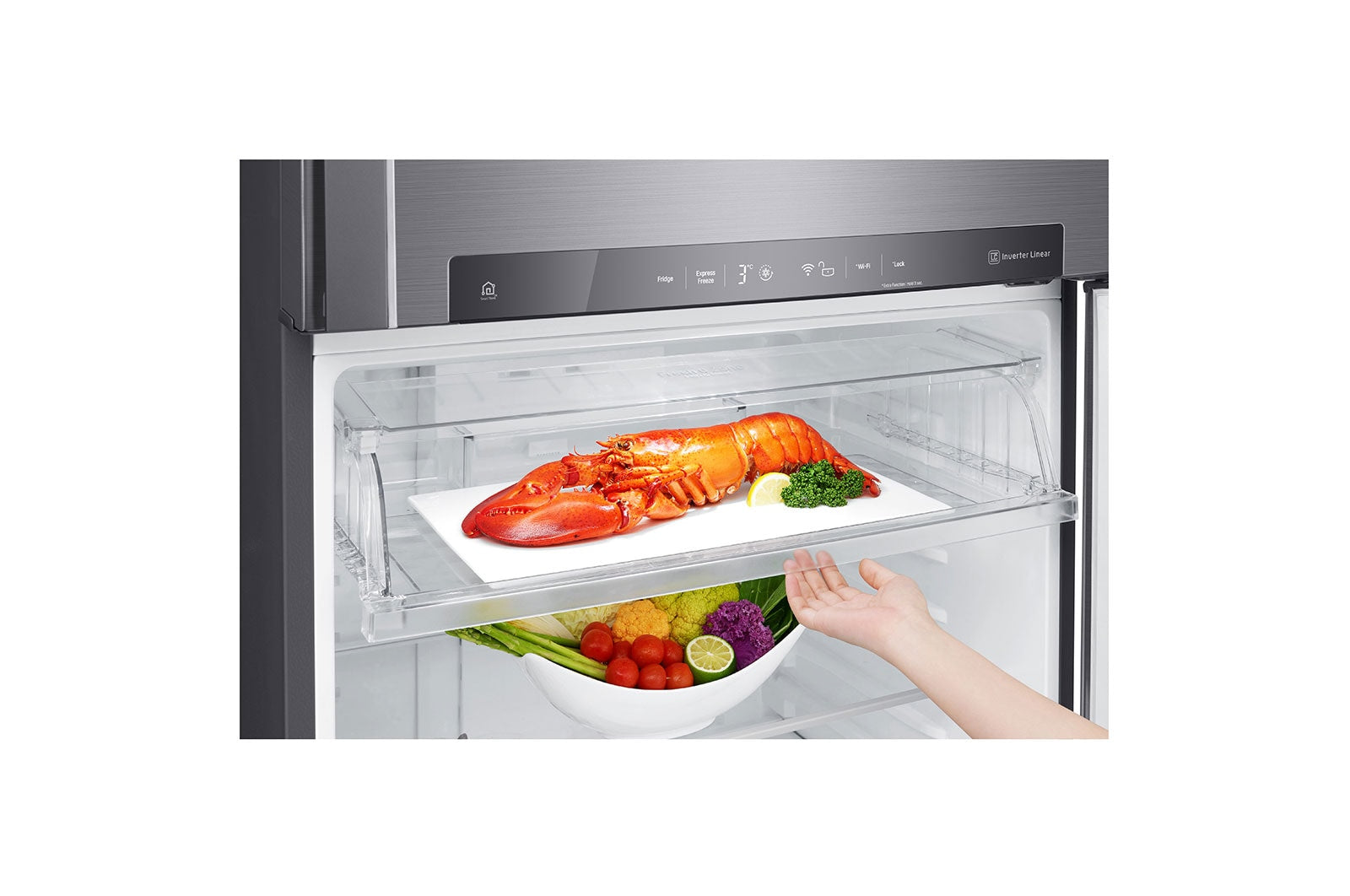 LG 509(L) | Top Freezer Refrigerator