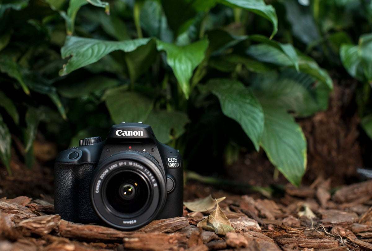 Canon EOS 4000D DSLR with EF-S 18-55mm DC Lens