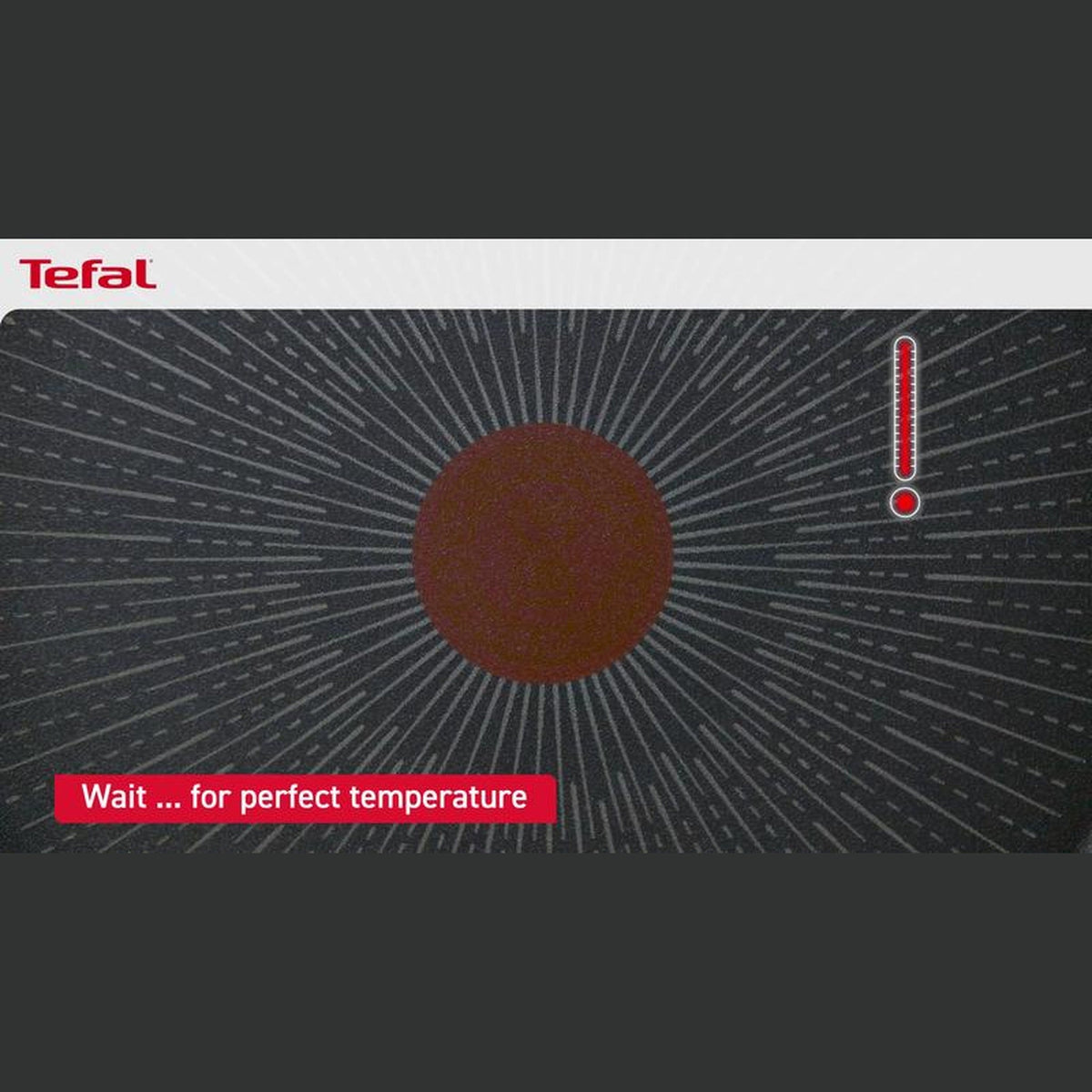 Tefal Easy Cook & Clean Frypan 30 cm