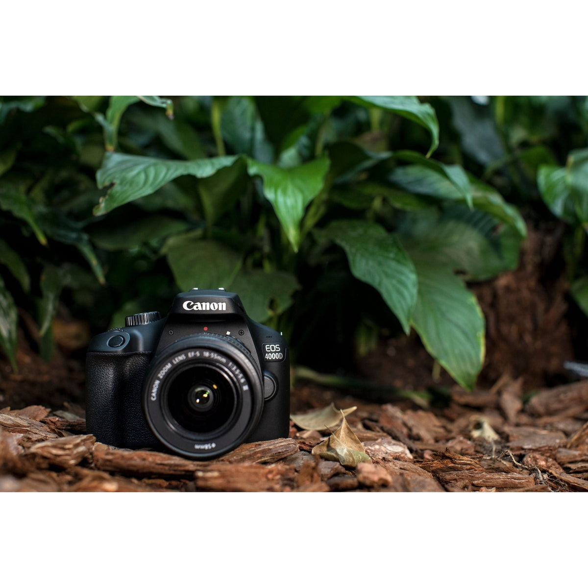 Canon EOS 4000D DSLR with EF-S 18-55mm DC Lens