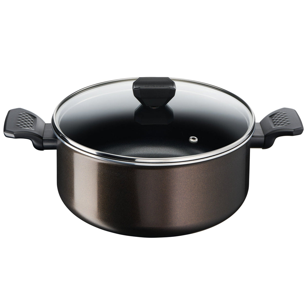 Tefal Easy Cook & Clean Stewpot 24 cm with Lid